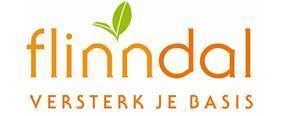 Logo Flinndal