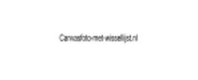 Logo Canvas Foto Met Wissellijst