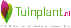 Logo Tuinplant